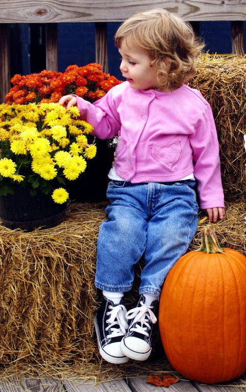 Stuff To do with the Kids This Weekend