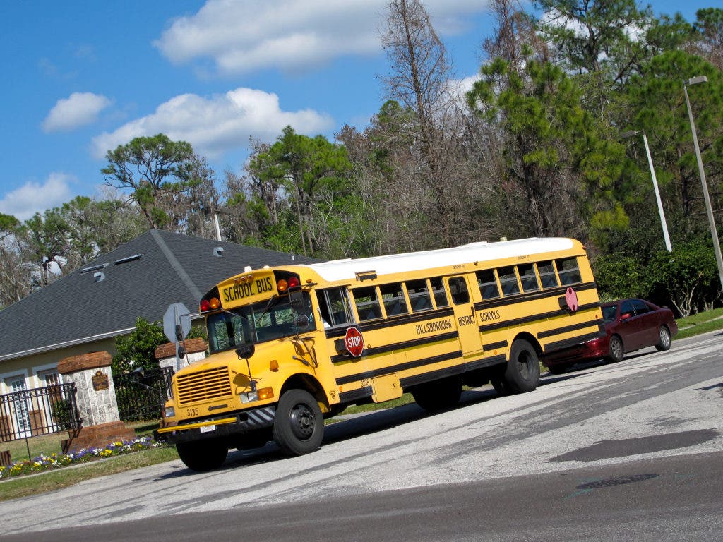 Hillsborough County Public Schools Closed Friday Tampa, FL Patch