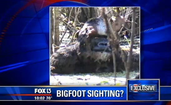 Bigfoot On The River