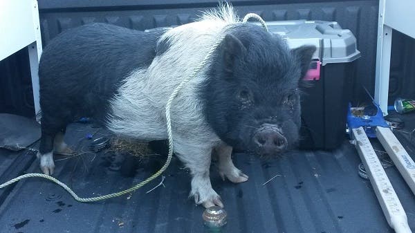 News small post card thumbnail