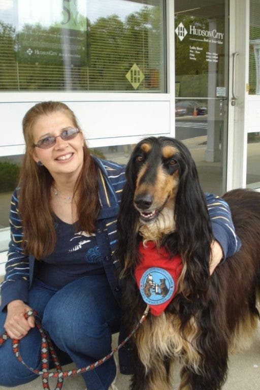 Therapy Dog Goes From Rescue to Runway | Toms River, NJ Patch