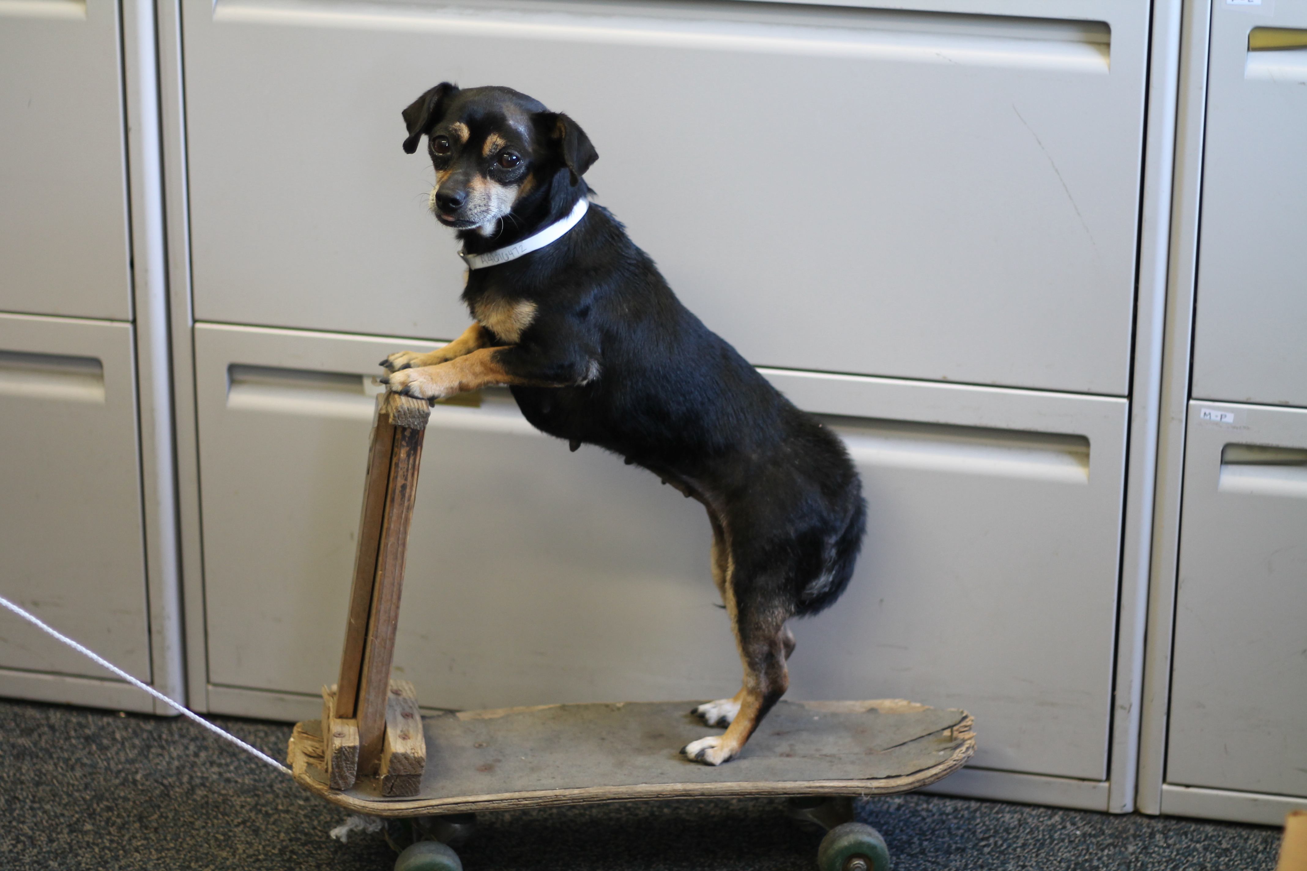 News small post card thumbnail