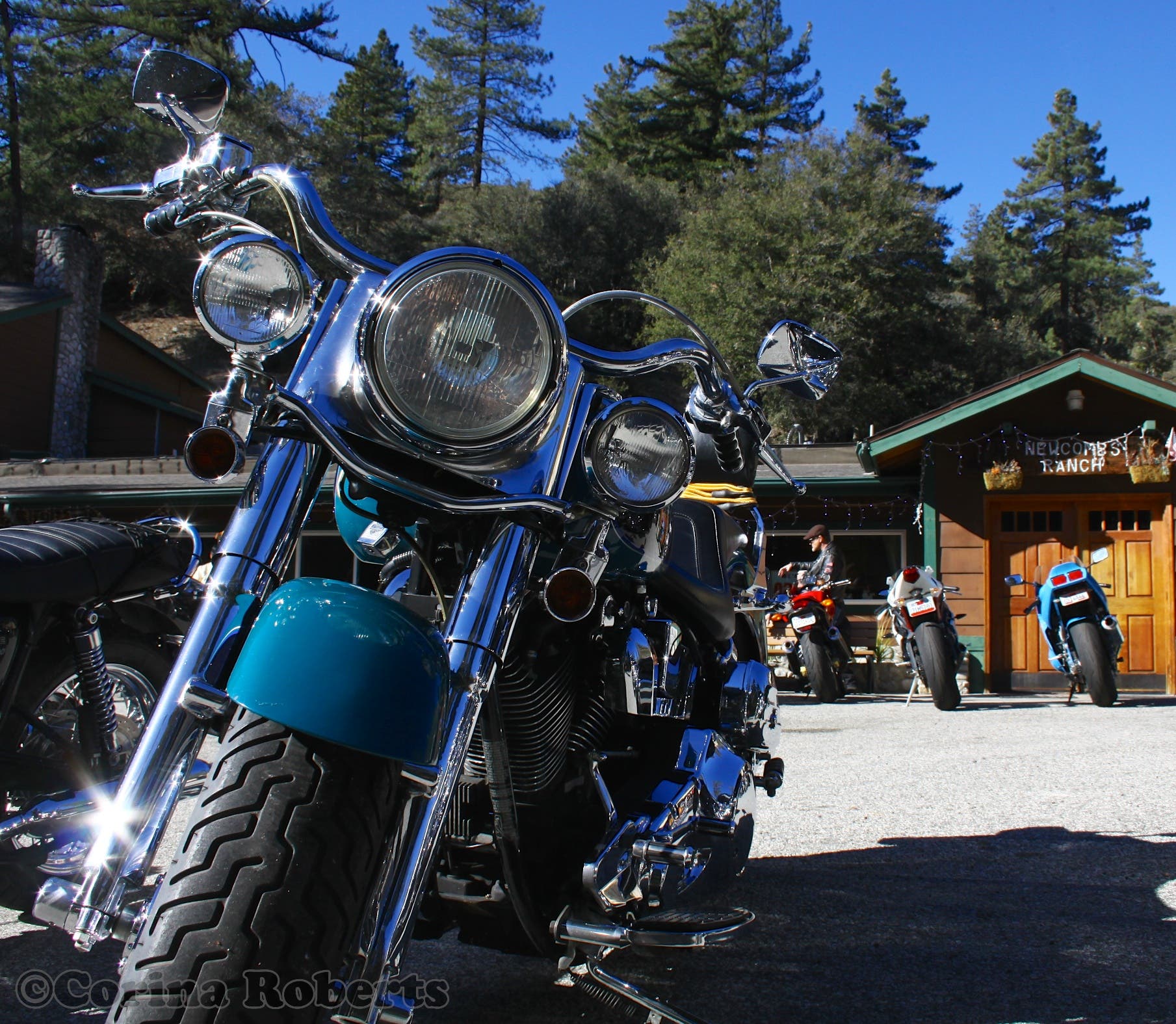 Newcomb's Ranch Bar and Restaurant Hiring | La Cañada Flintridge, CA Patch