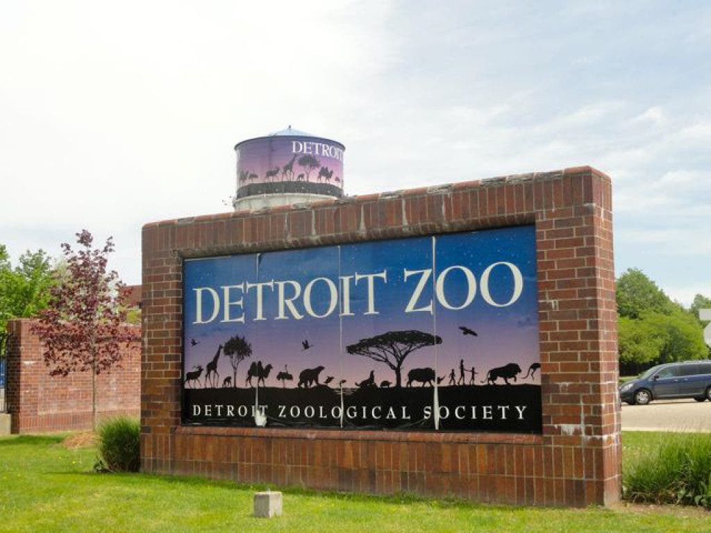Come One, Come All to Sunset at the Zoo | Royal Oak, MI Patch