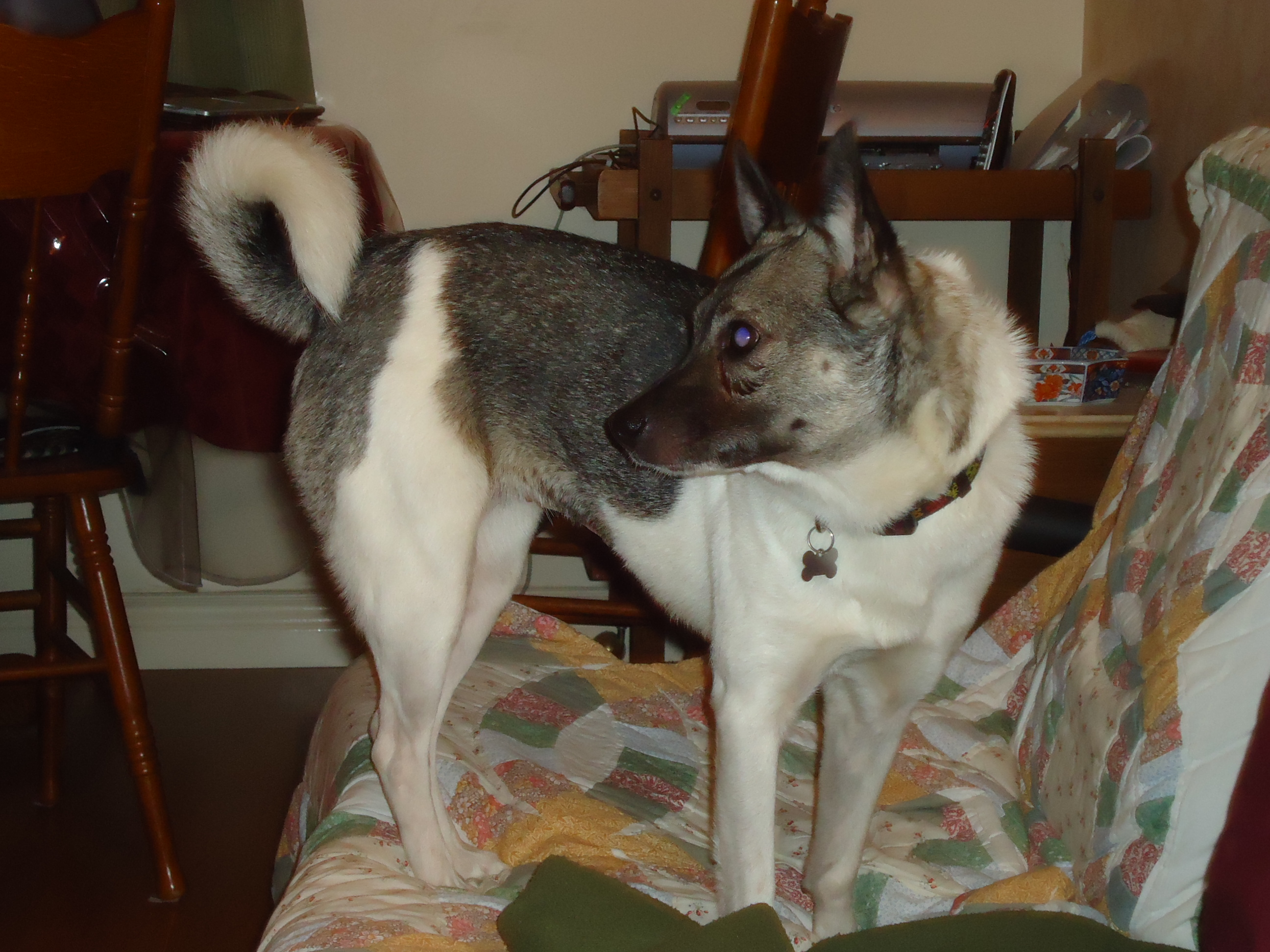 News small post card thumbnail