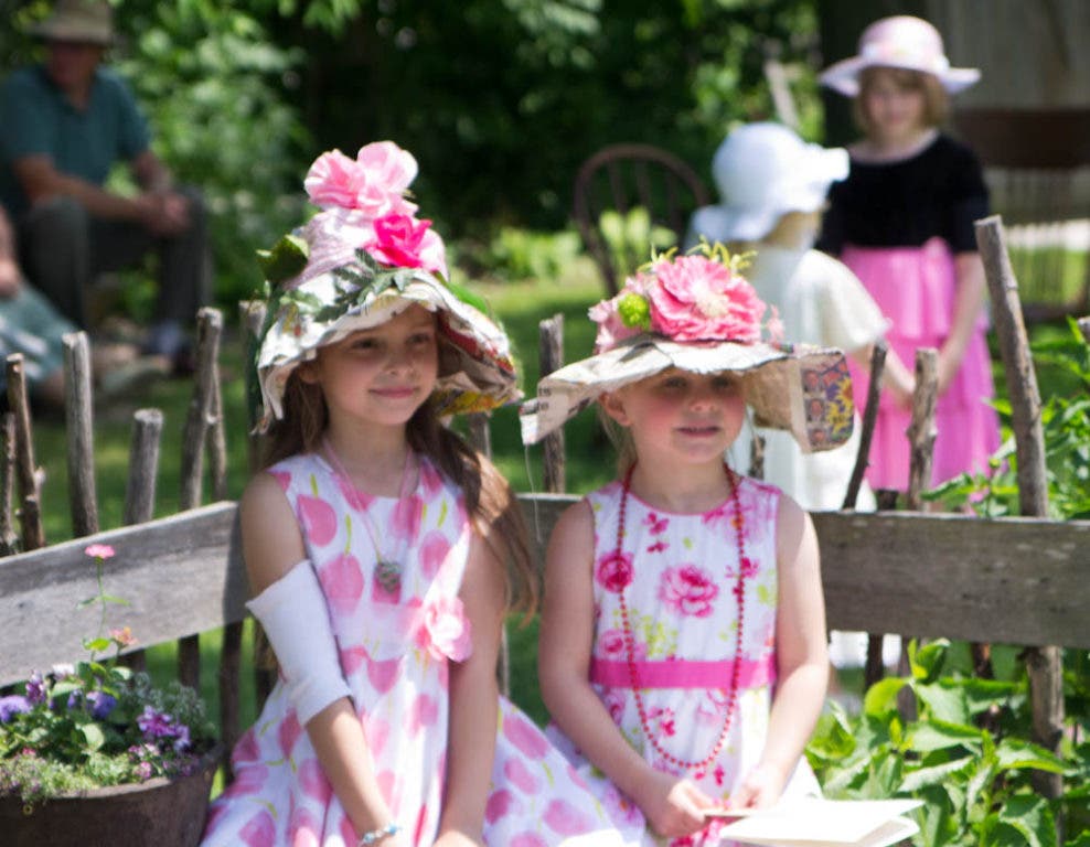 Photo Gallery: Tea Time