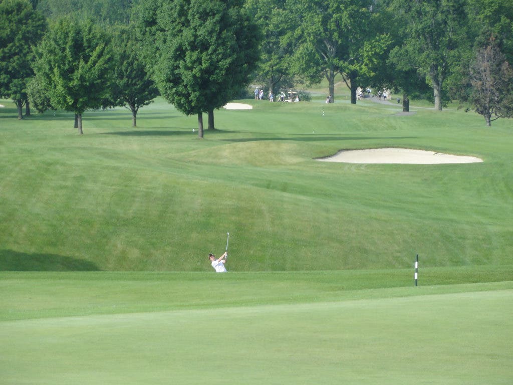 Photos: Troy Boys Golf Team Finishes Strong at State Finals | Troy, MI ...