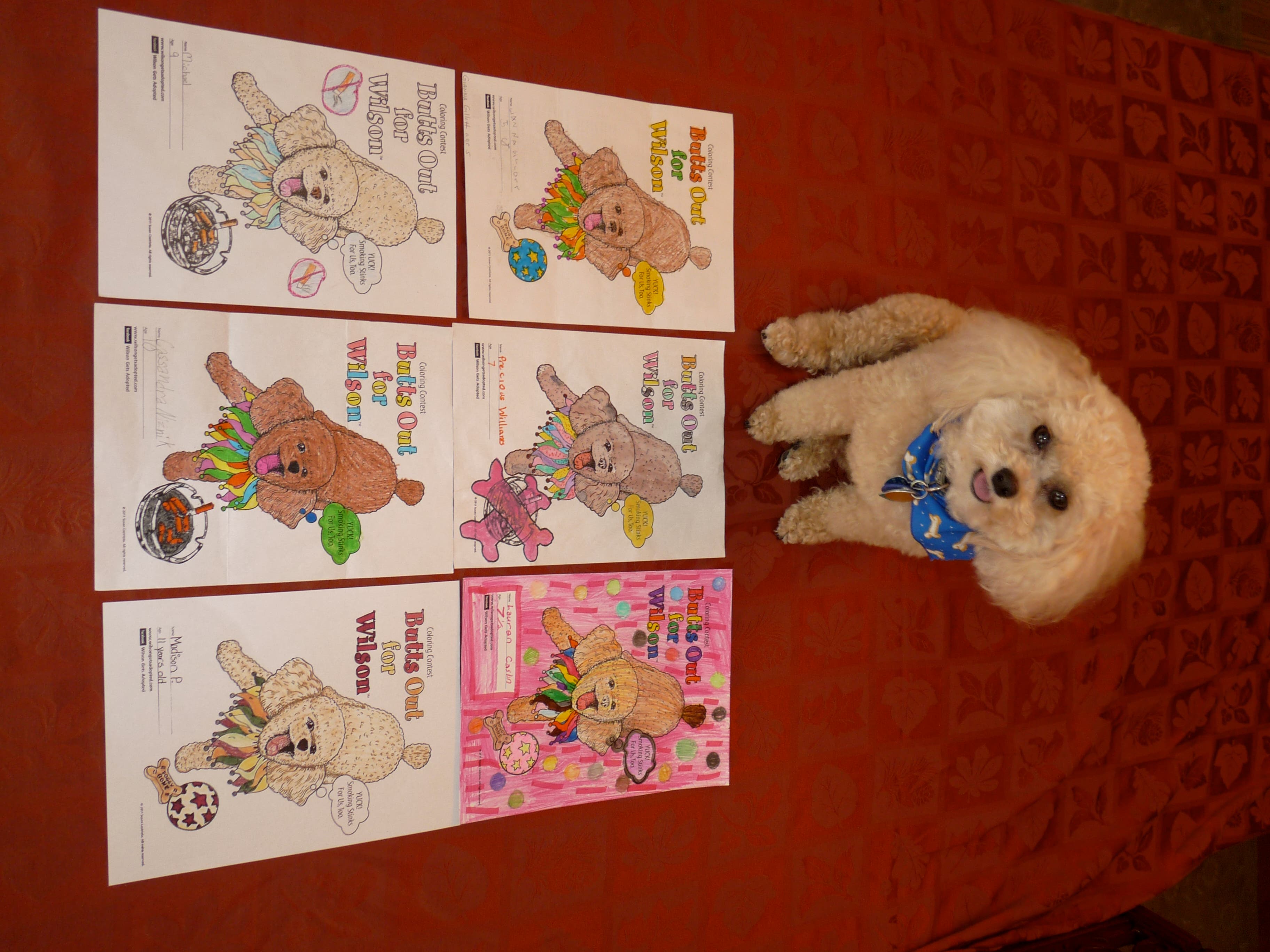 News small post card thumbnail