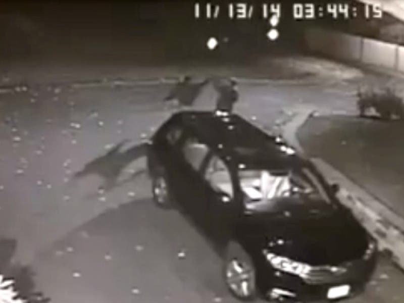 Newton Car Theft Suspects HighFive on Camera; Possible Nor'easter