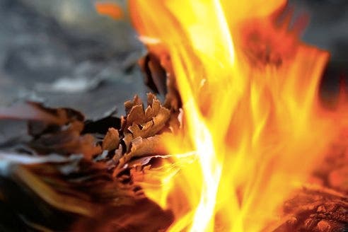 News small post card thumbnail