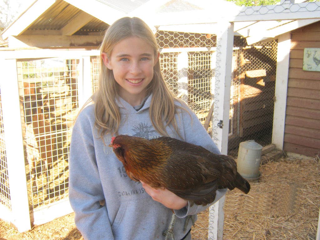 Kids Animal Husbandry Class Lemon Grove CA Patch