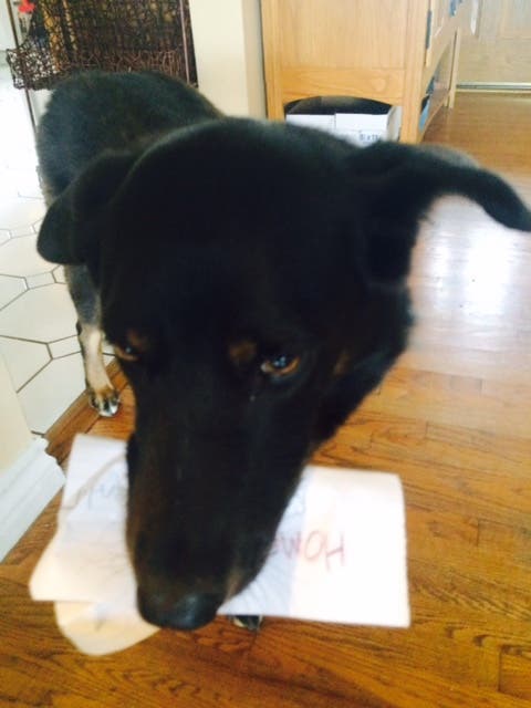 News small post card thumbnail