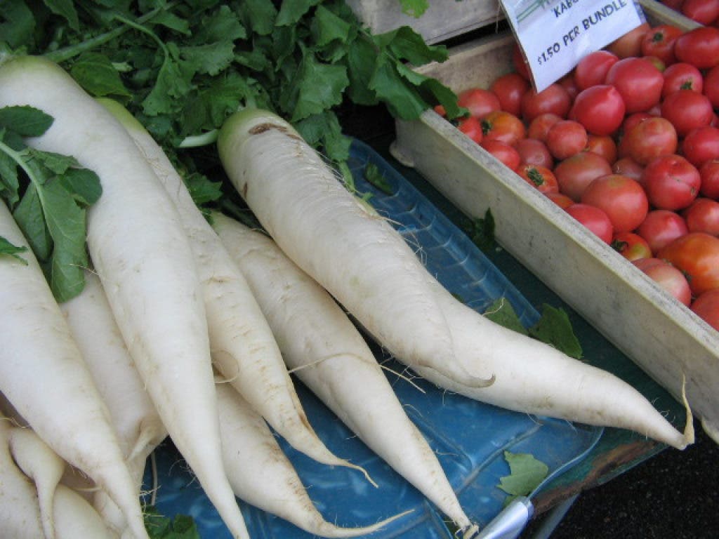 Shiso Leaves Komatsuna Spinach And Momotaro Tomatoes Hollywood Ca Patch