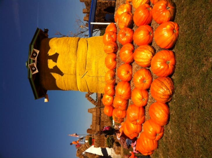 FamilyFriendly Halloween Events, Activities This Weekend Wentzville