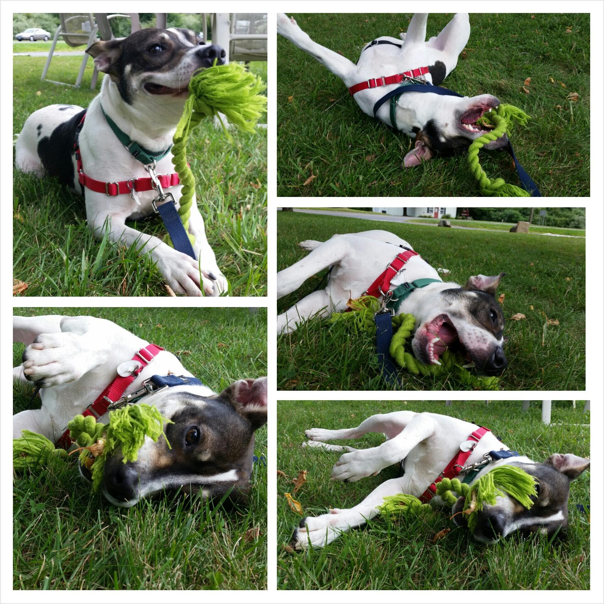 News small post card thumbnail