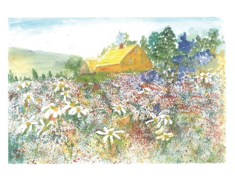 News small post card thumbnail