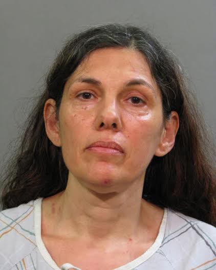 Police: Long Island Woman Stabbed Her 79-Year-Old Mother to Death ...