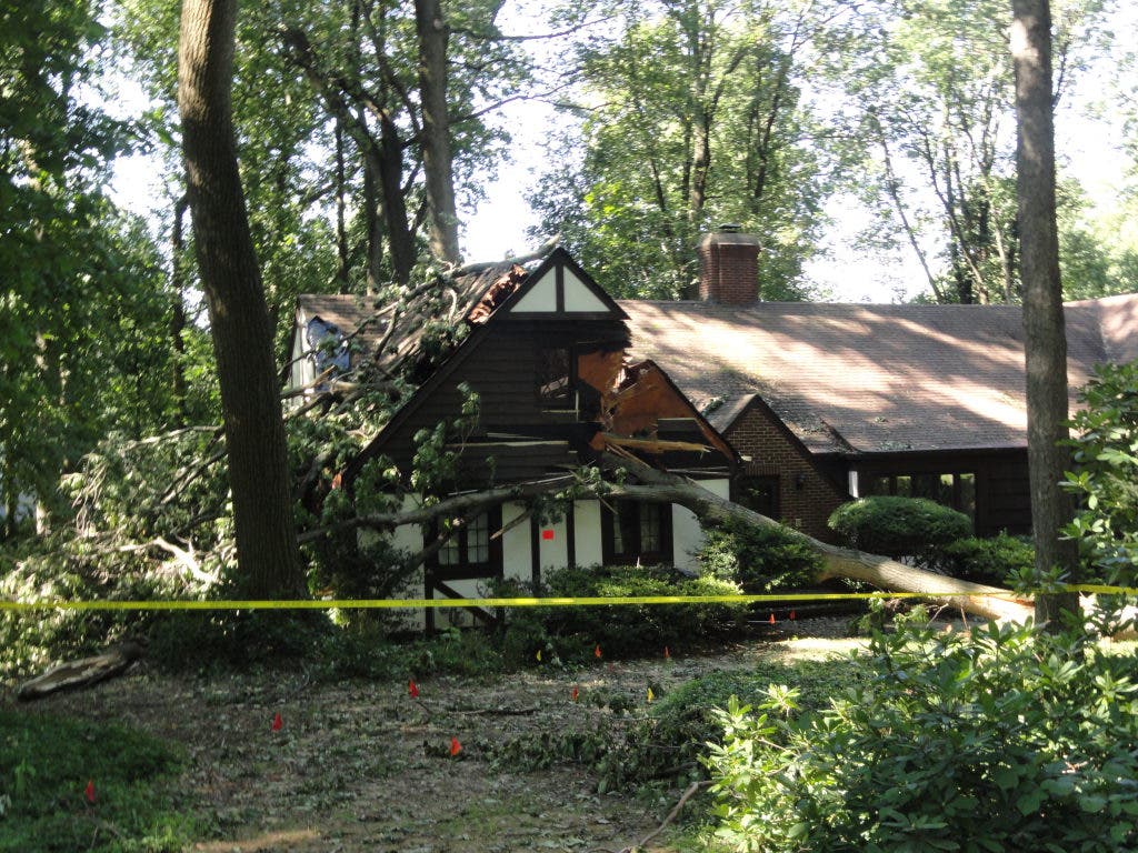 Massive Tree Falls On Grandview Drive Home | Holmdel, NJ Patch