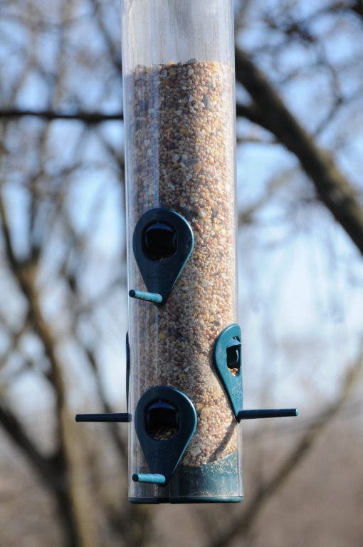 Reports Elderly Couple Faces Birdfeeder Fine Ramsey Nj Patch