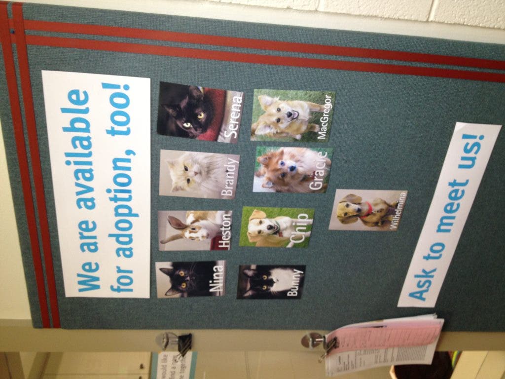 News small post card thumbnail