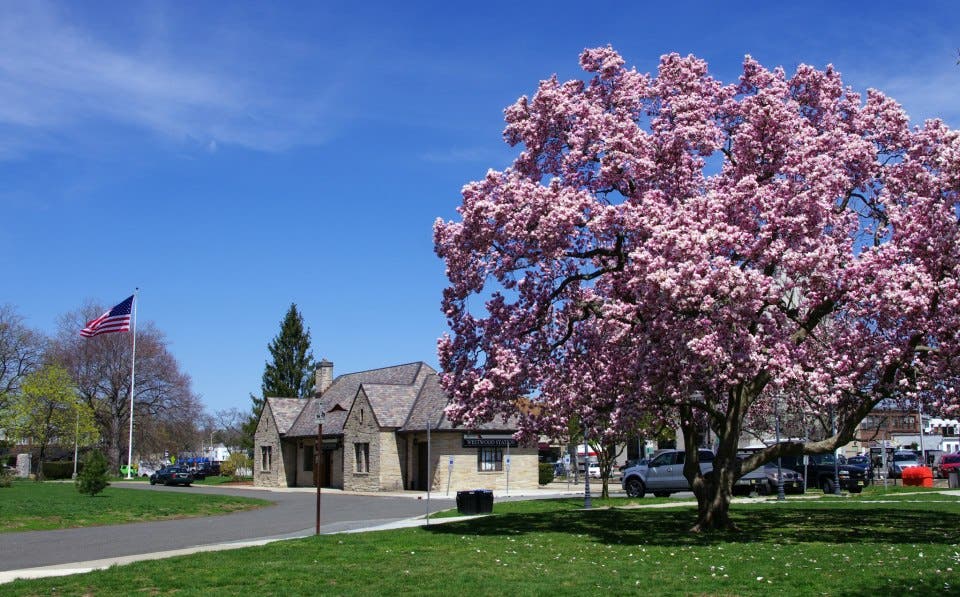 News small post card thumbnail