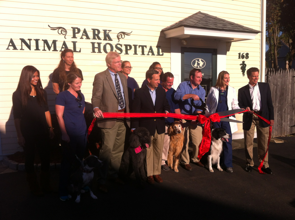 Grand Opening for Park Animal Hospital Under New Owners Darien, CT Patch