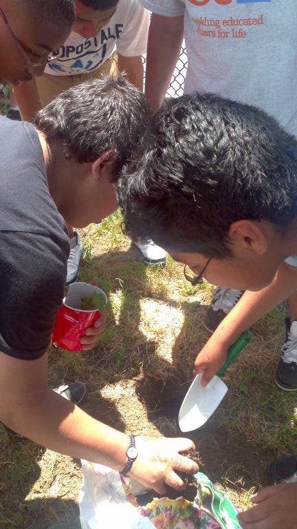 News small post card thumbnail