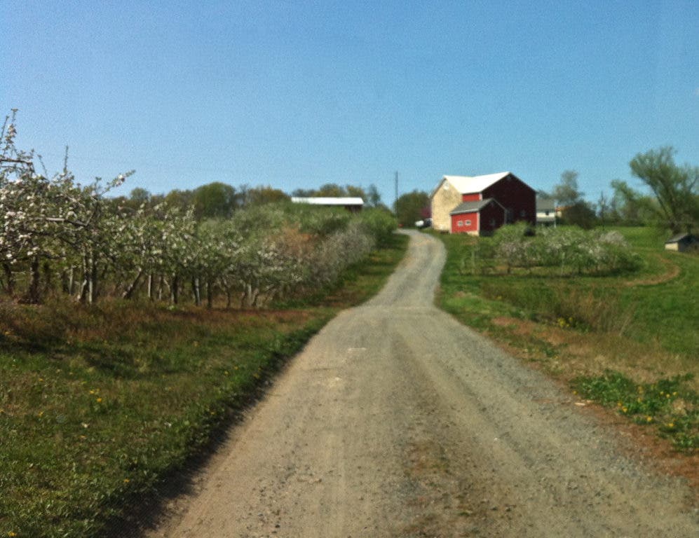 News small post card thumbnail