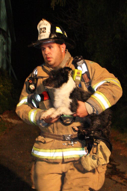 Firefighters Rescue, Revive 20 Dogs from House Fire | Lawrenceville, NJ ...