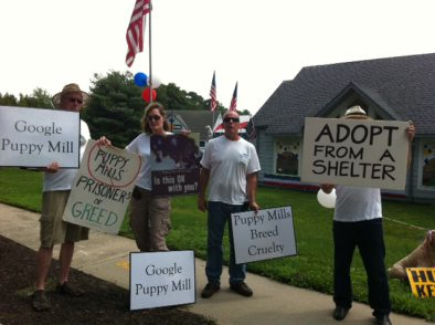 News small post card thumbnail