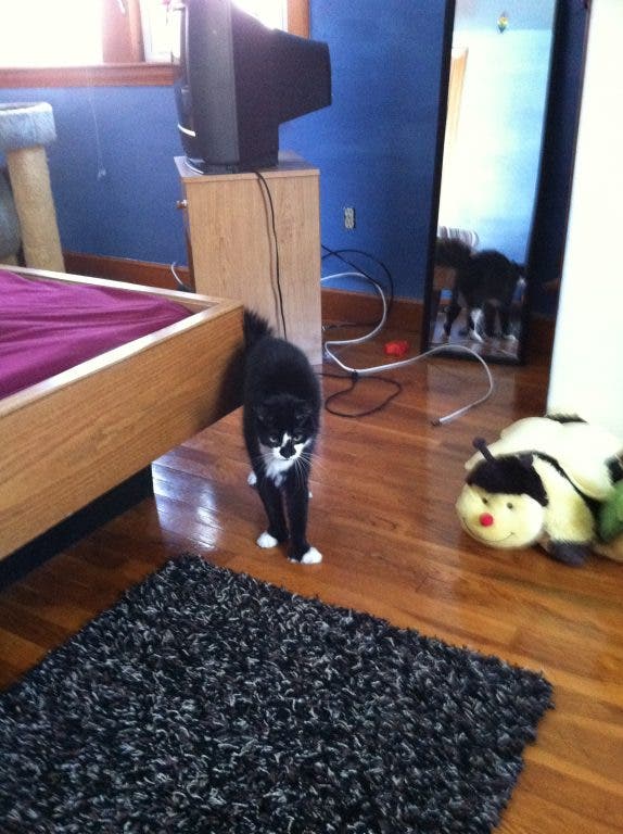 News small post card thumbnail