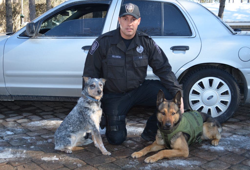 Support the Westford K9 Program! Westford, MA Patch