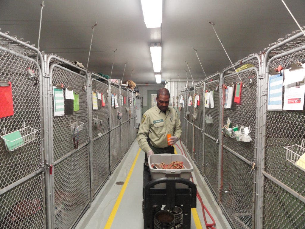 A Day in Stamford with the Animal Control Office | Stamford, CT Patch