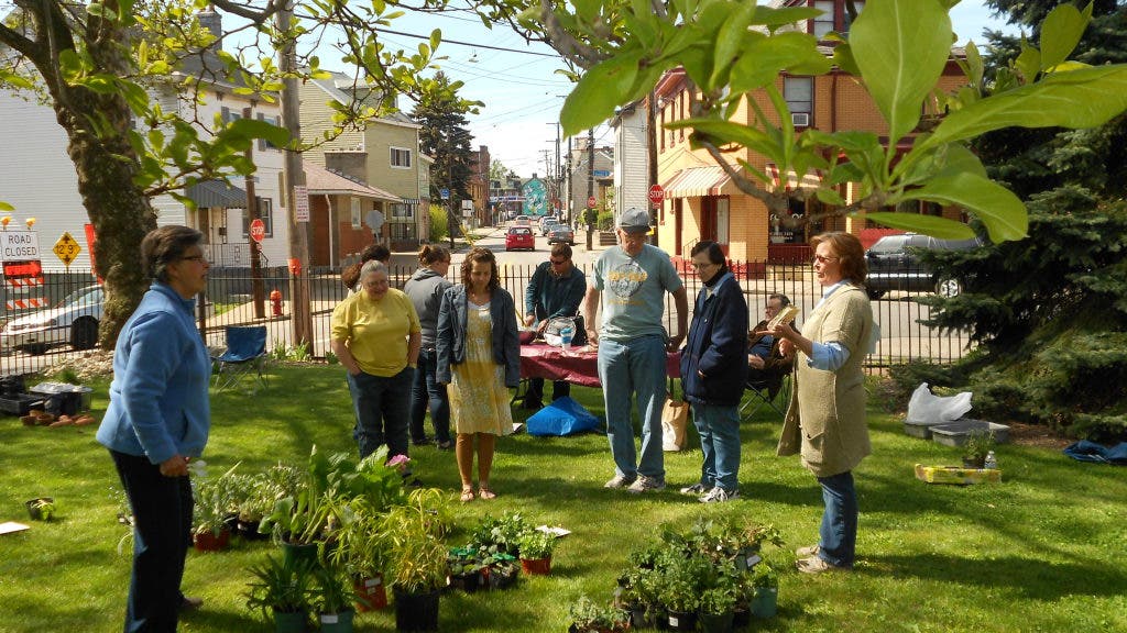 News small post card thumbnail