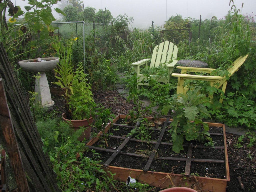 Growing Season Ripe at Crows Woods | Haddonfield, NJ Patch