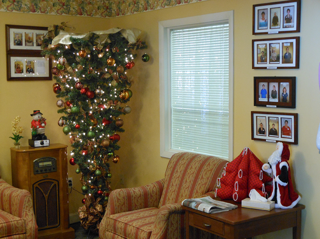 Chestnut Knoll Decks the Halls with 20 Christmas Trees for the Holidays