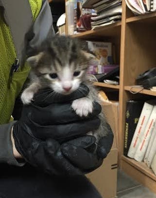 News small post card thumbnail