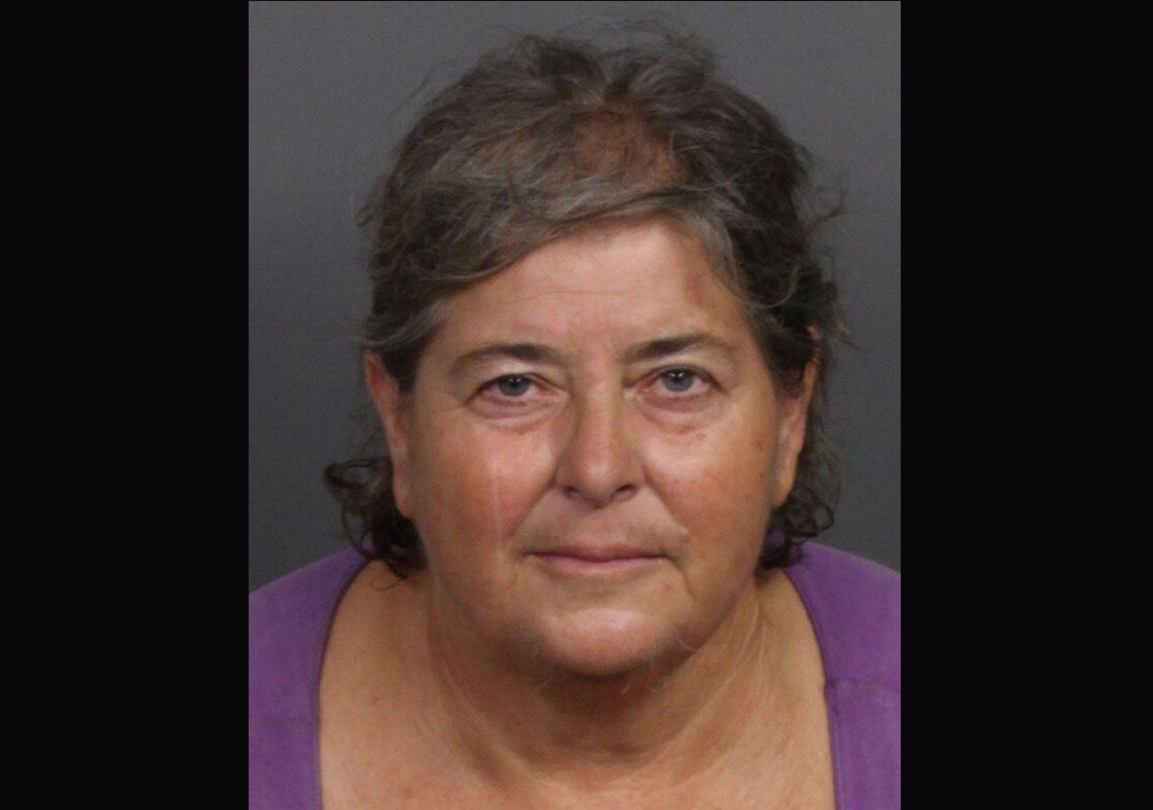 'Dog Camp' Owner Pleads Not Guilty to Animal Cruelty Charges | Palm ...