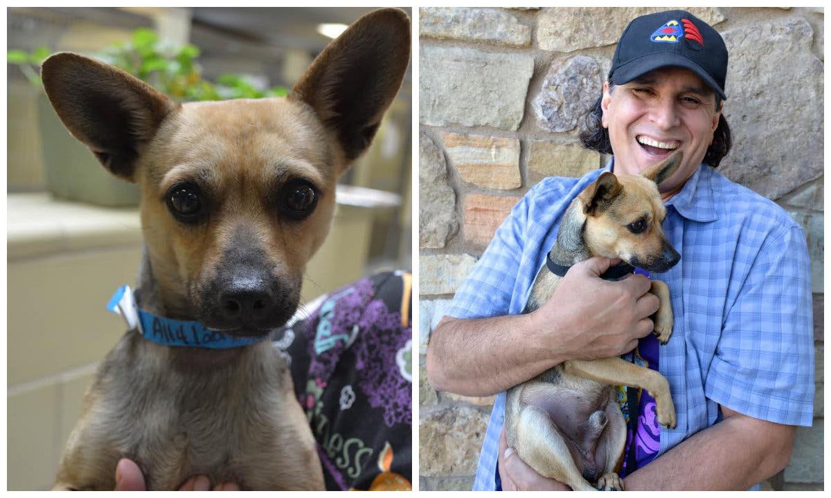 'Dumpster Dog' Oscar Gets New Beginning With SWR Family | Lake Elsinore ...
