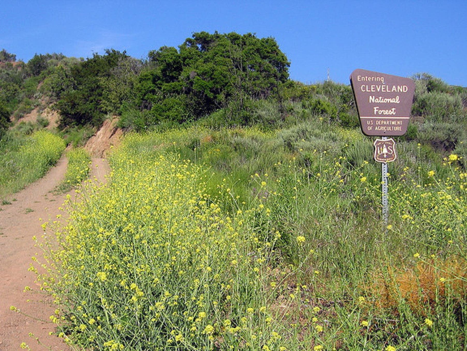 New Wilderness on the Cleveland National Forest Mission