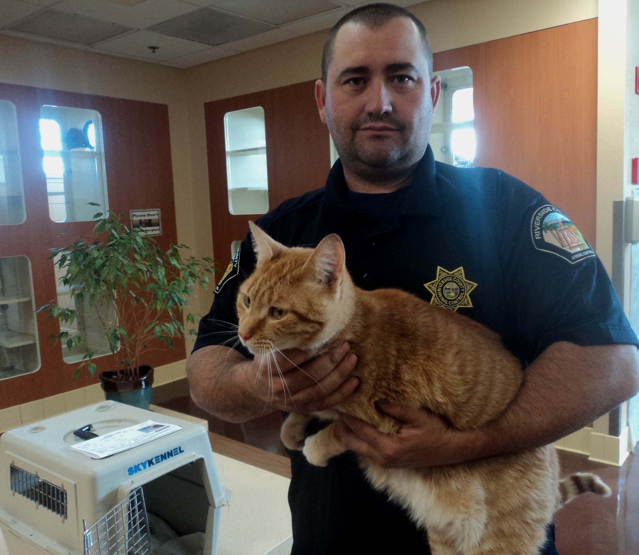 Kevin The Stowaway Cat Found Two Years Later 2 000 Miles From Home 