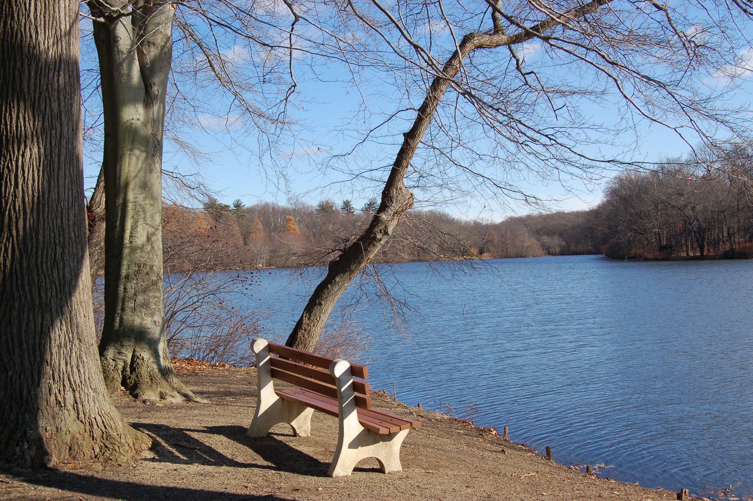 Help Clean Up Lake Topanemus
