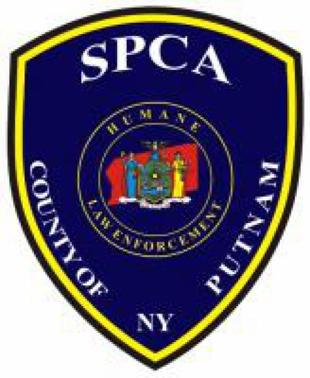 Cat Decapitation: Reward Available | Southeast, NY Patch