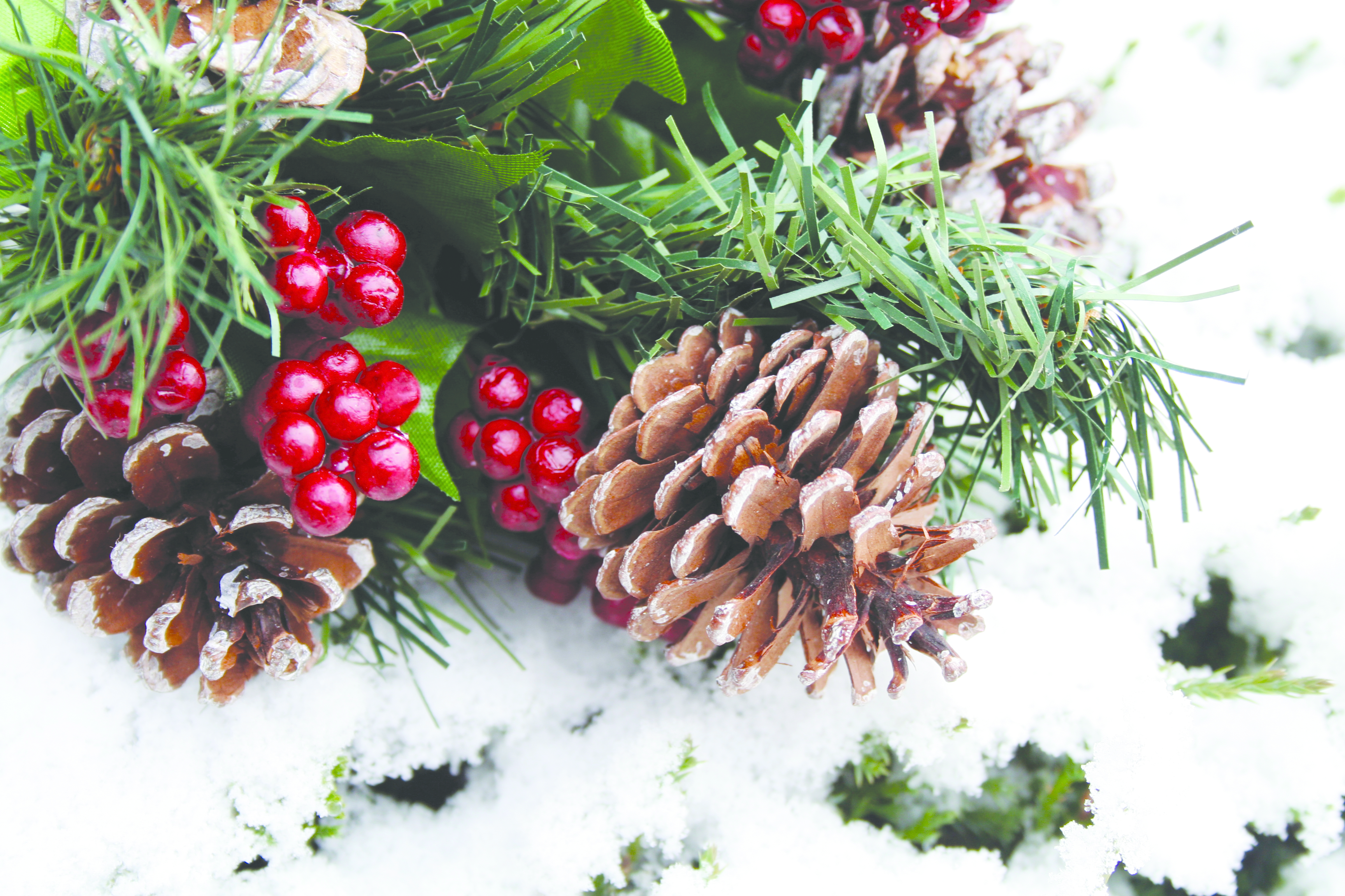 Holiday Wreath Making Led By Heather Moss Potter Floral Designer