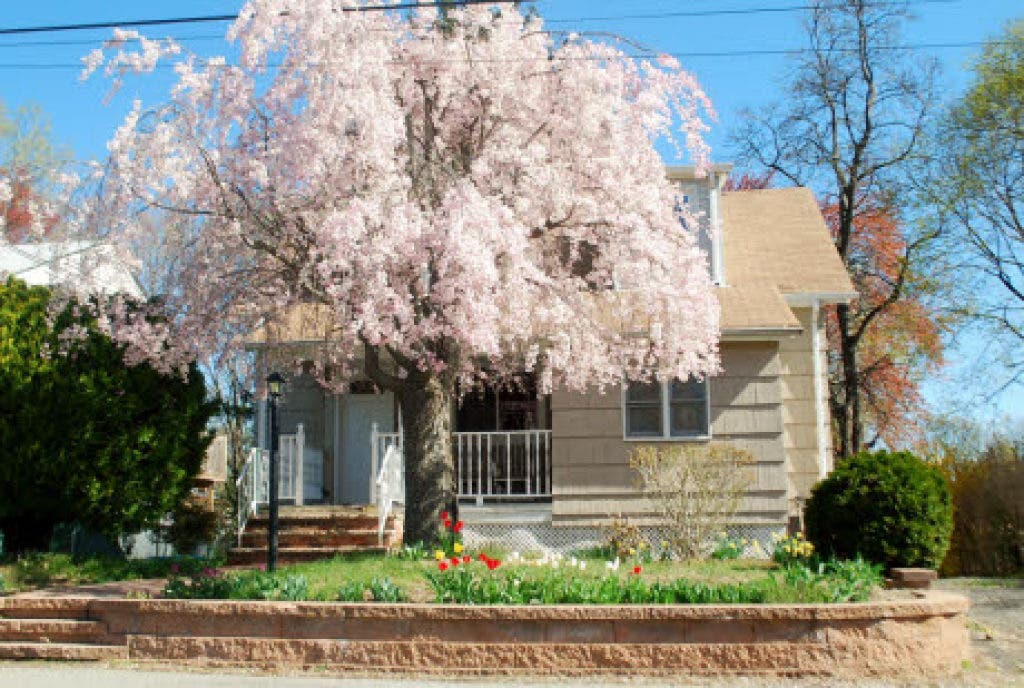 For Sale Tall Timber Drive Home 975K Morris Township, NJ Patch