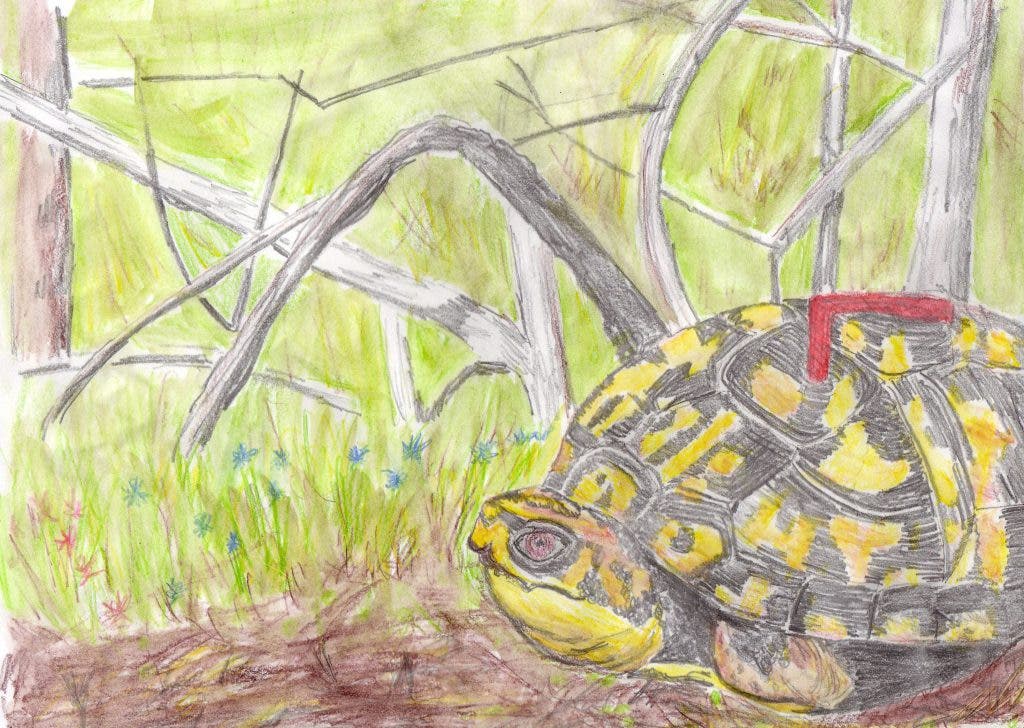 News small post card thumbnail