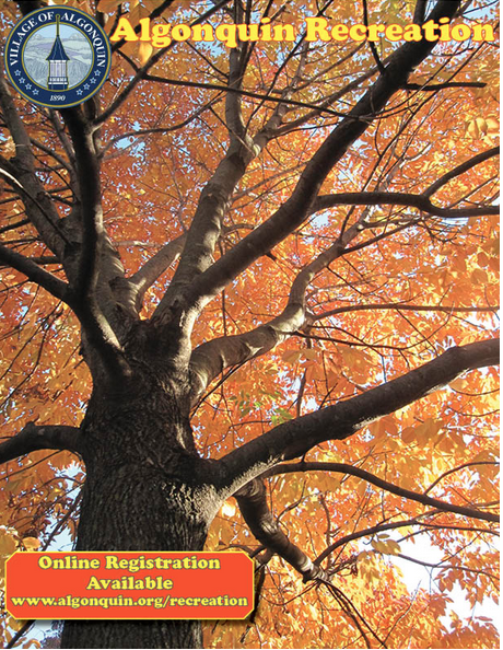 Algonquin Recreation Brochure Available On Line Algonquin IL Patch