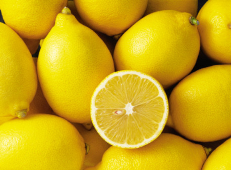 17th Annual Lemon Festival