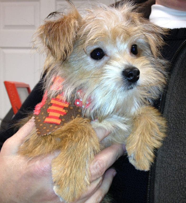 News small post card thumbnail