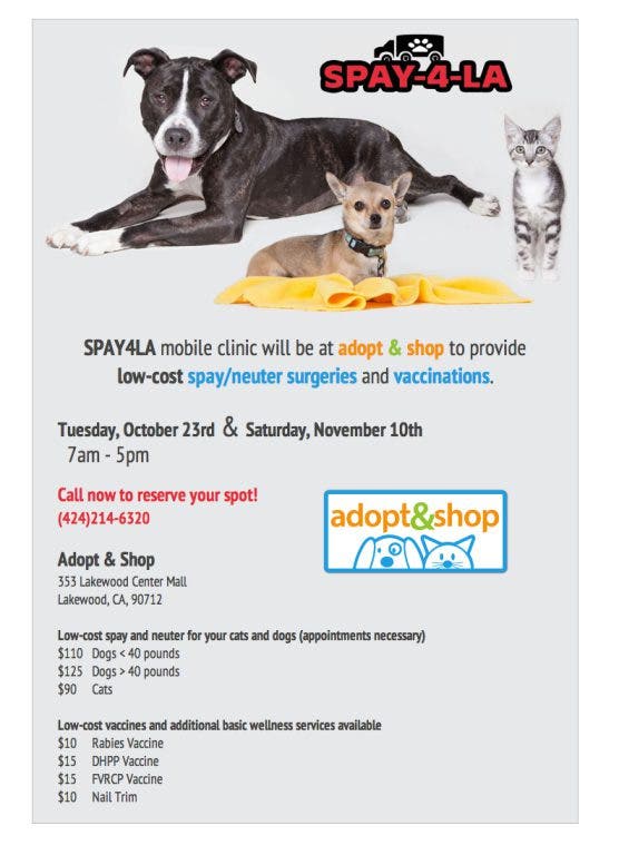 Lowcost spay/neuter and vaccines for your pet Cerritos, CA Patch